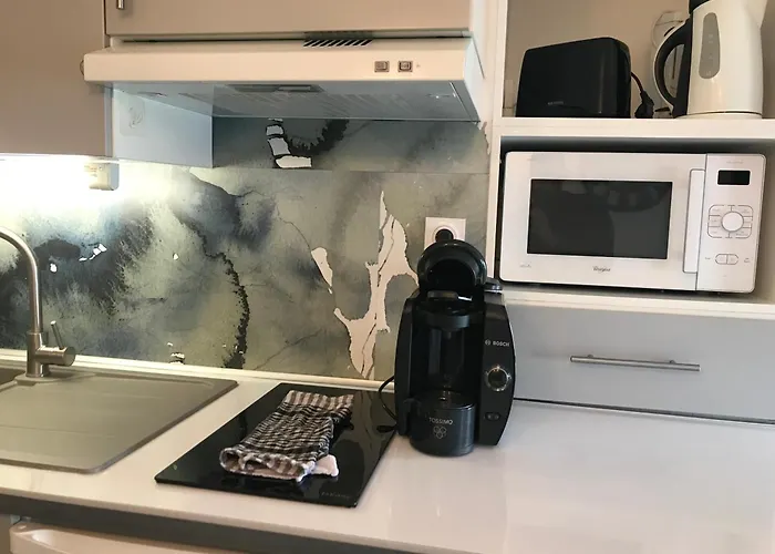 L'astoria 6 - Centre - Proche Des Thermes - Ancien Palace شقة فيشي